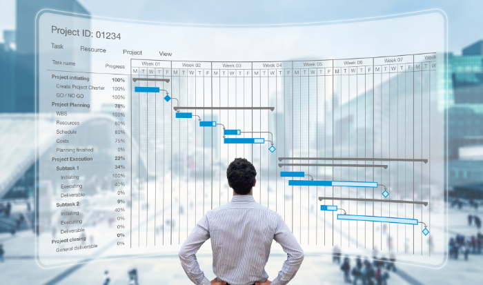 Project Management